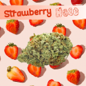 Strawberry Haze Fleurs de CBD - 4,4%