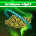 Northern Light Fleurs de CBD - 10%